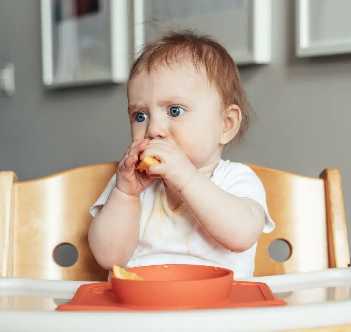 Assiette avec petites portions d'aliments mous et adaptés pour jeune enfant en diversification