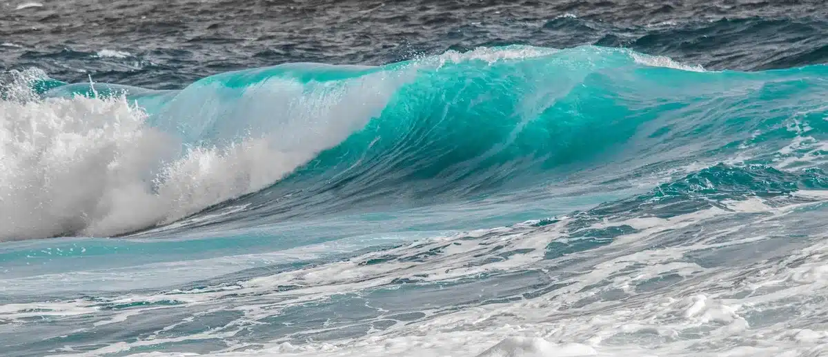 Mousse blanche et écume couvrant la surface de la mer agitée près du rivage