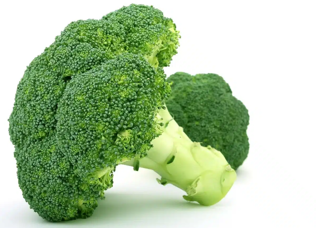 Aliments sains riches en fibres et activité physique régulière pour réduire le cholestérol