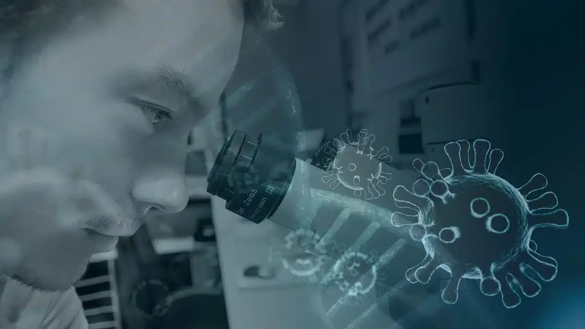 Cristaux d'acide urique observés au microscope dans le sang