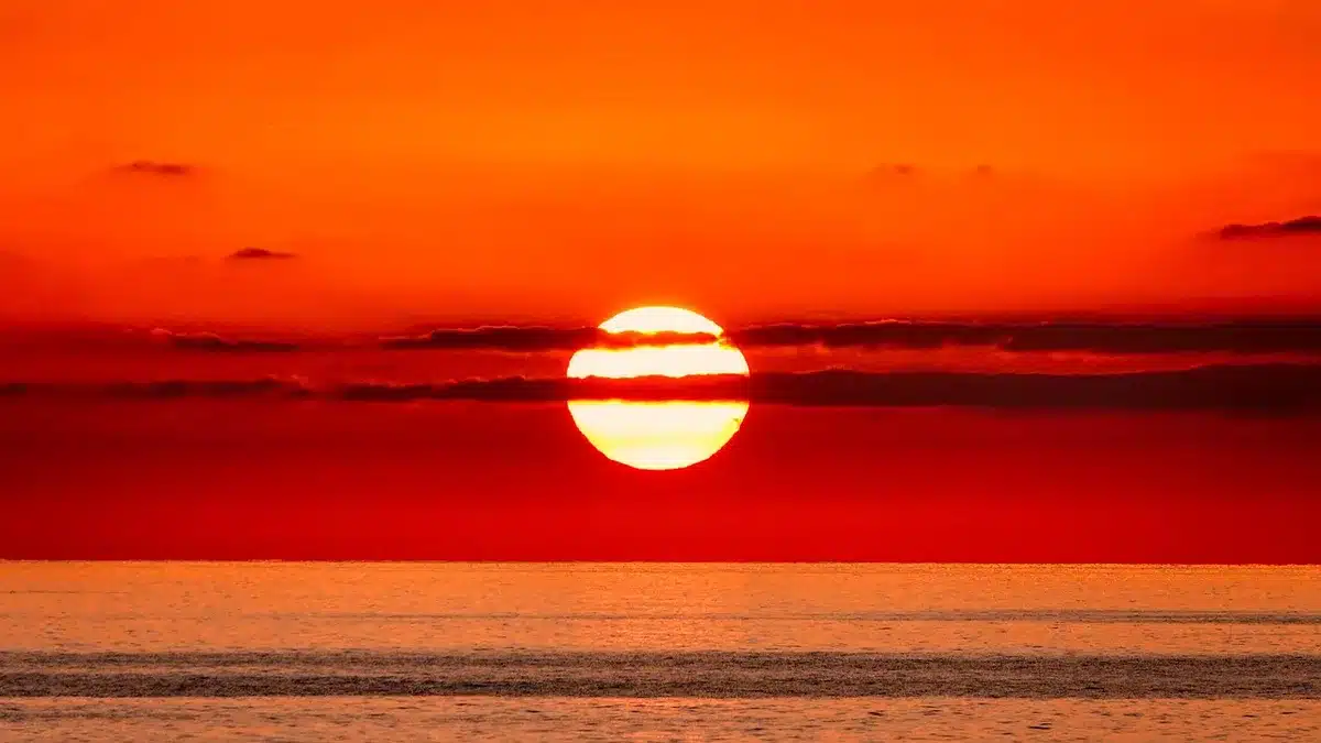 Cérémonie sur rooftop avec panorama sur la Baie des Anges au coucher du soleil