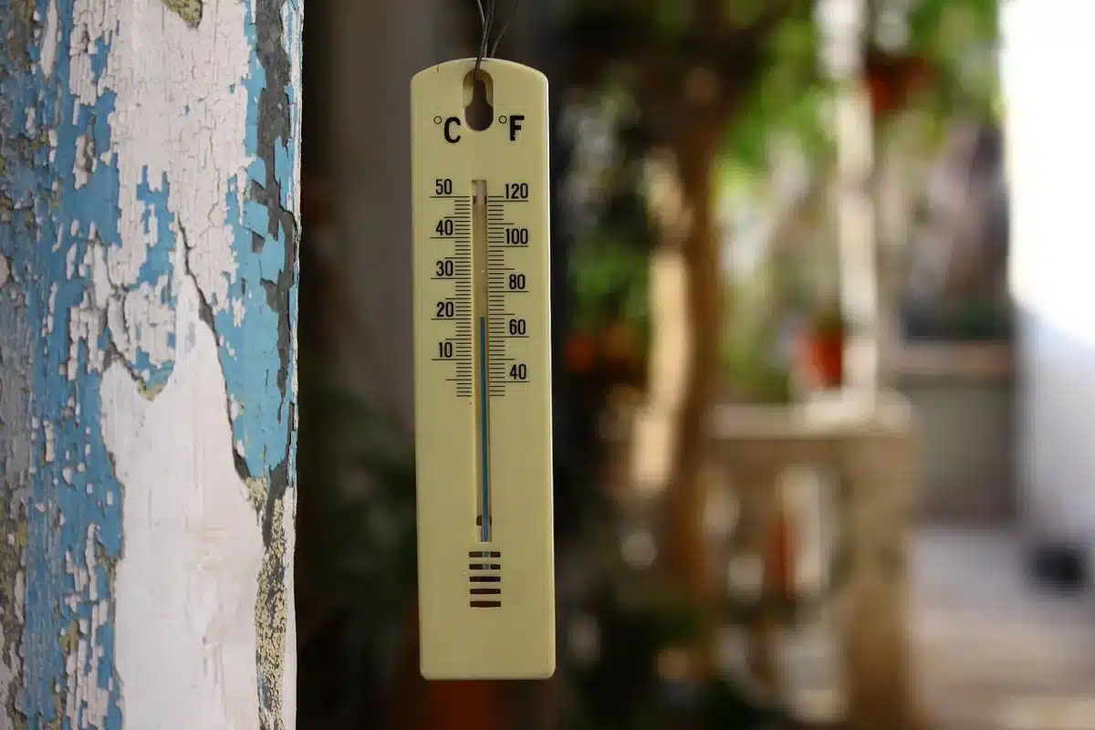 Thermomètre et personne semblant fiévreuse en consultation