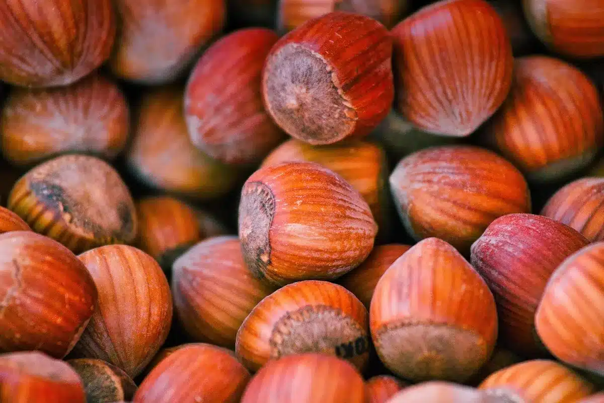 Assiette variée riche en protéines et légumes frais pour soutenir l'immunité