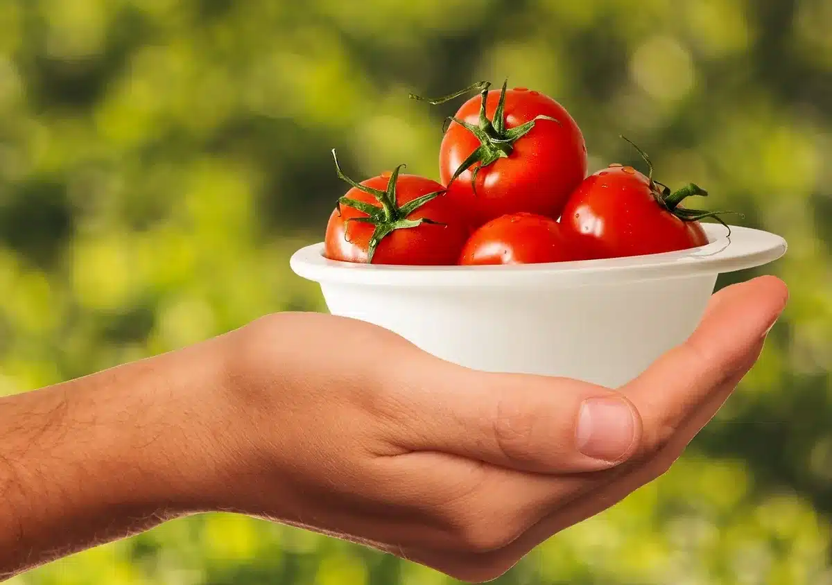 Mains d'une personne âgée tenant une fourchette près d'une assiette colorée de nourriture saine