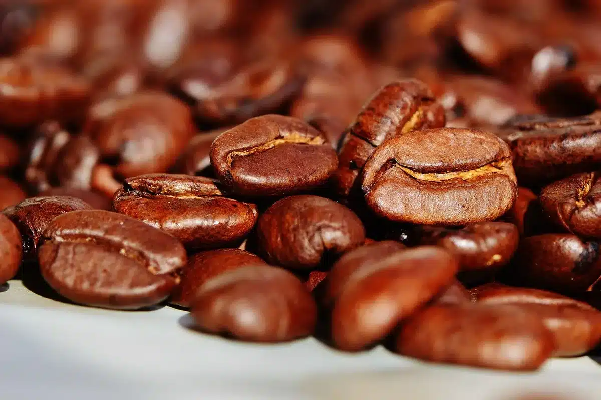 Shaker protéiné et espresso versé sur des glaçons pour un proffee glacé