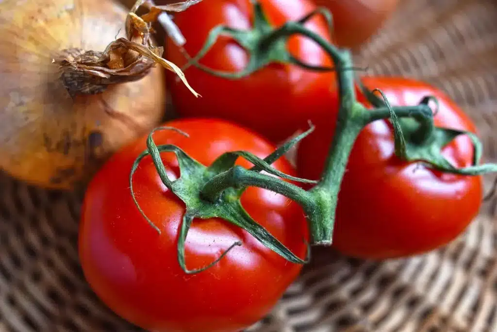 Bol de flocons d'avoine et assiette de légumes colorés sur une table lumineuse