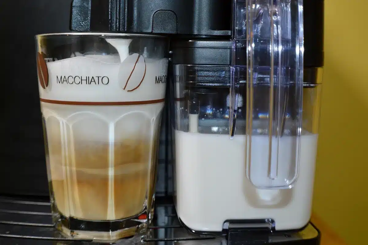 Différents types de laits en bouteilles pour faire une cold foam