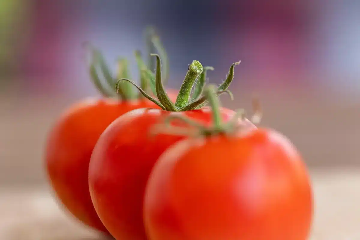 Compléments prénataux et légumes verts sur une table bien éclairée