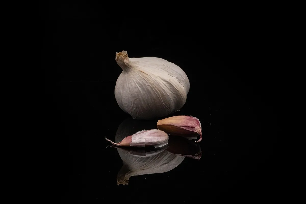 Gros plan sur une fleur séchée montrant trichomes et texture
