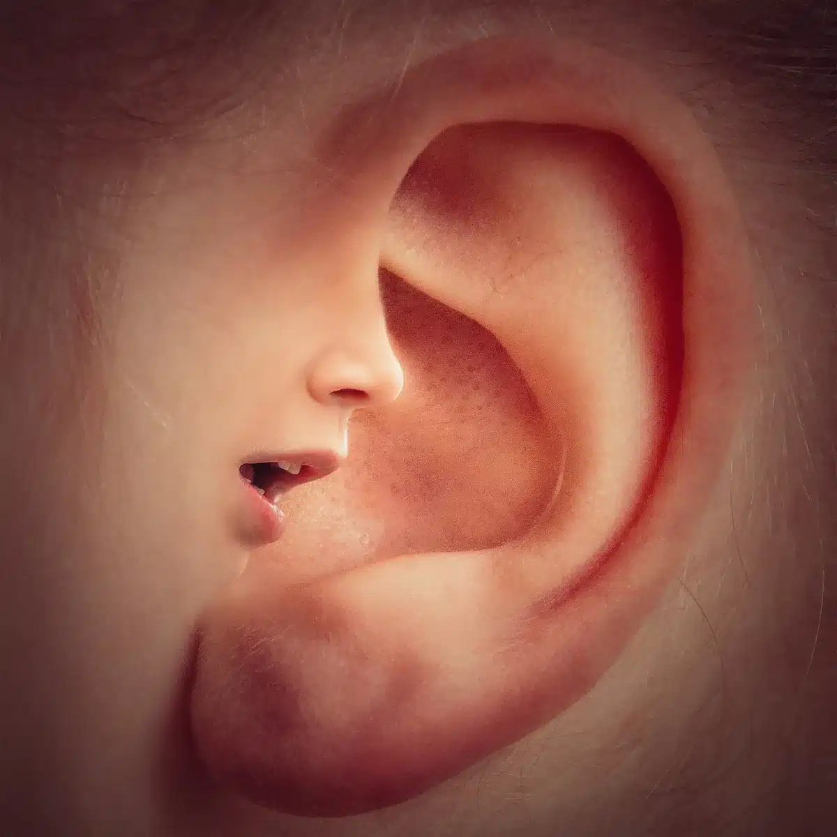Schéma simple montrant la trompe d'Eustache et l'oreille moyenne pendant la grossesse